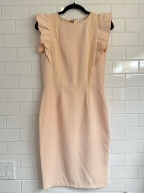 Paper Dolls Blush Ruffle Sleeve Lace Sheath Dress US 6 UK 10 NWOT